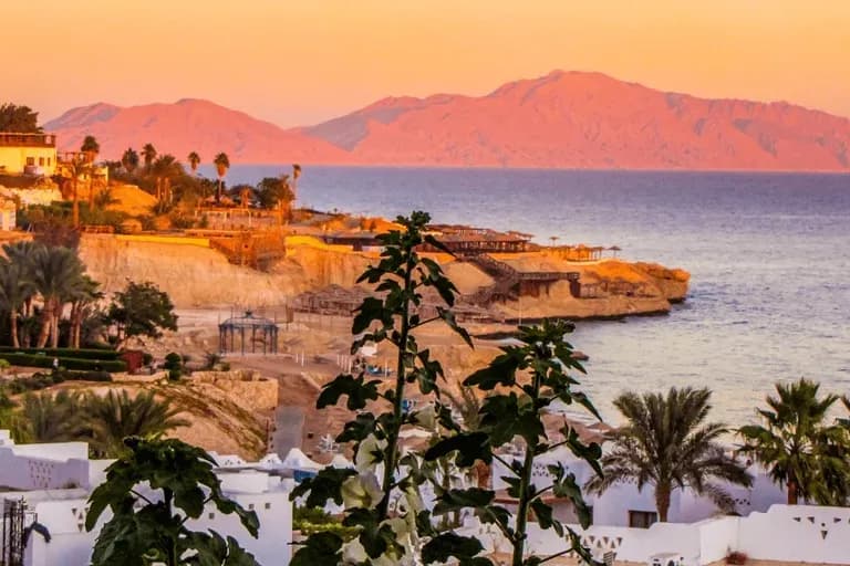 Egypt Airports Go Fully Digital for Immigration Cards Starting February 2026